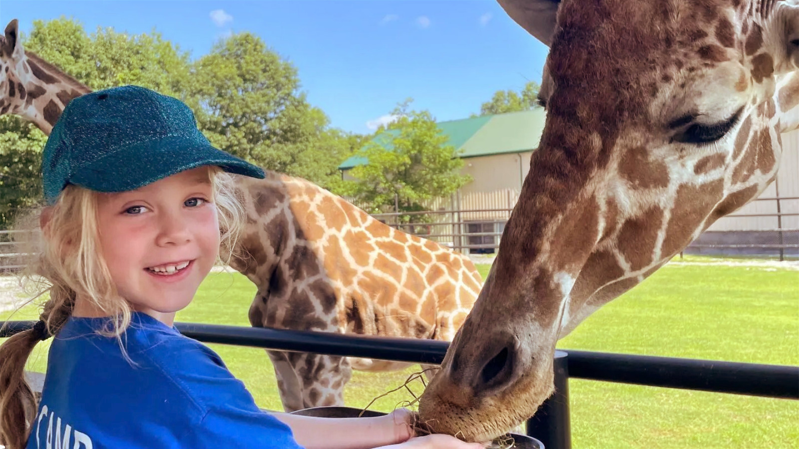https://erioninsurance.com/blog/article/local-love-safari-niagara